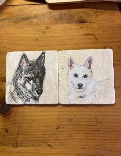 Dogs on Tiles